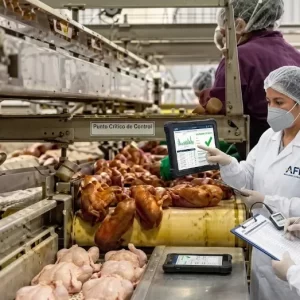 HACCP II - Verificación y Validación